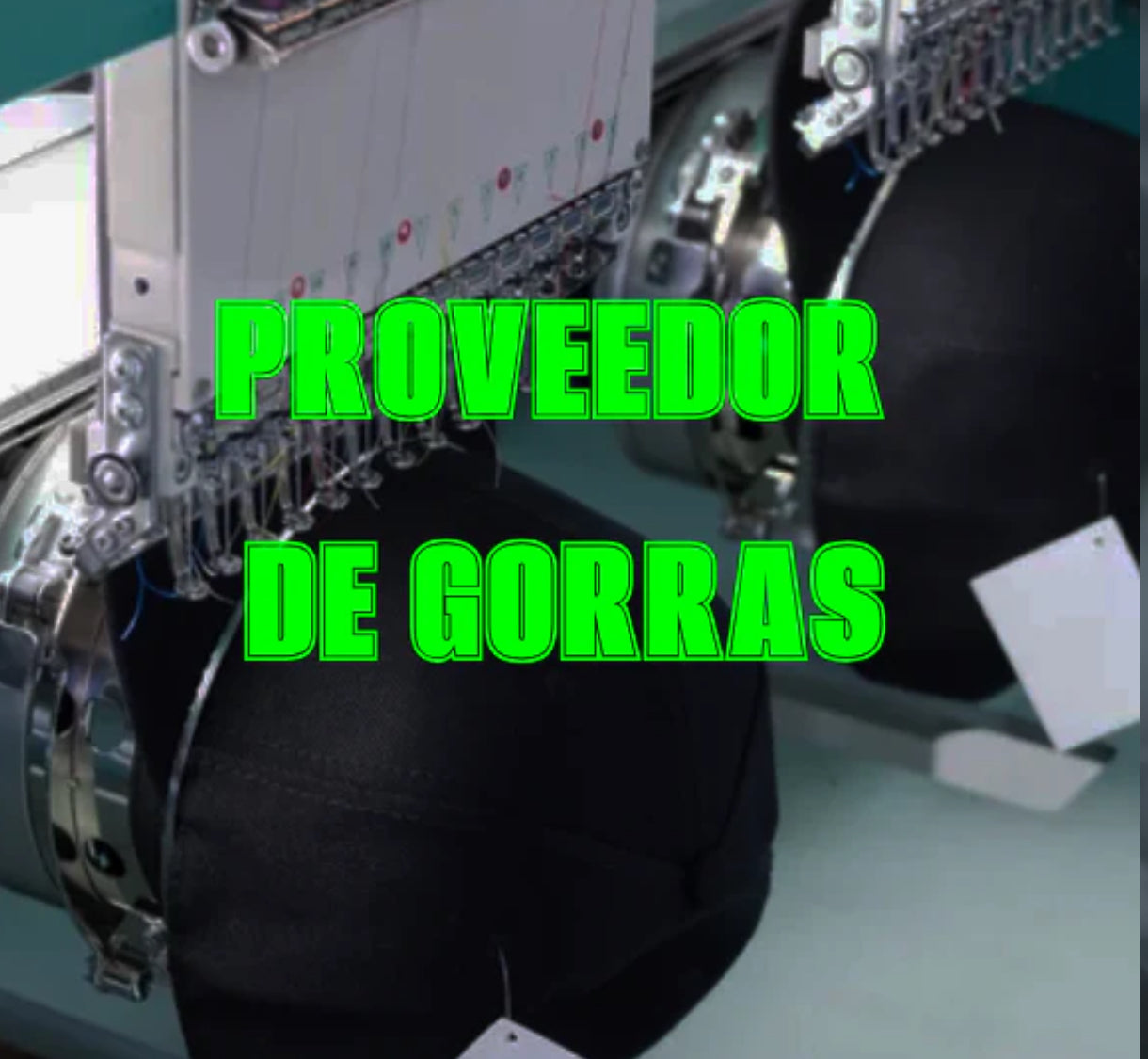 provedor