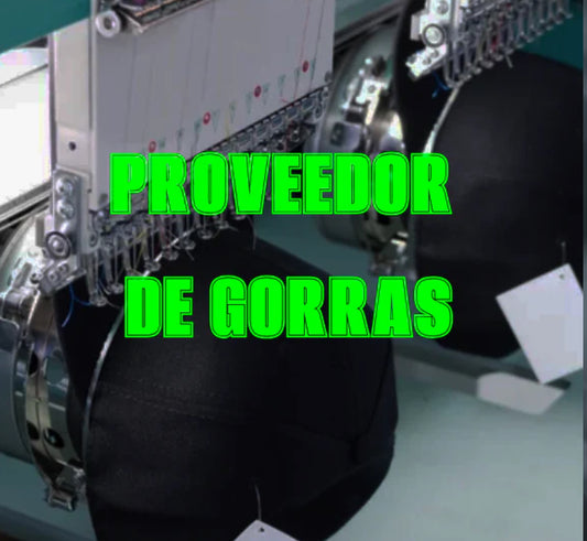 provedor
